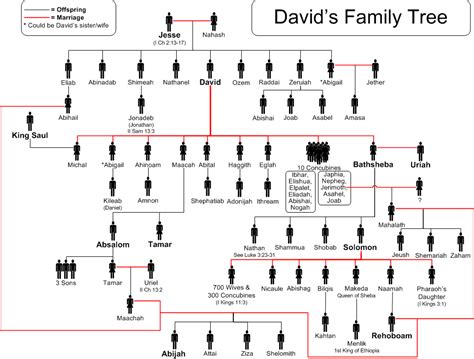 david last name origin|david family tree.